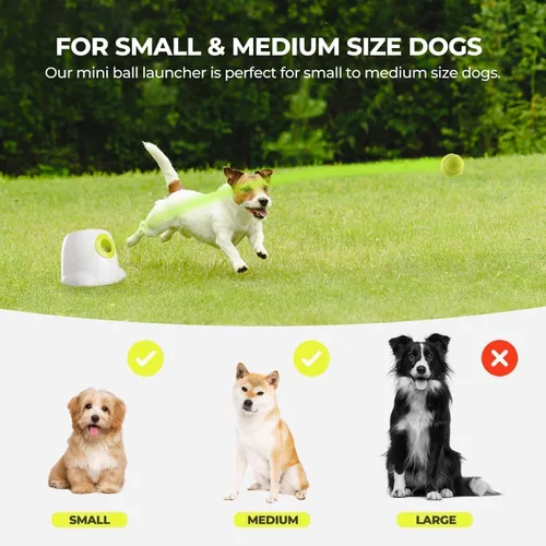 Vista 6 de ALL FOR PAWS Lanzador automático de bolas para perros, máquina interactiva para mascotas, lanzador de bolas para interiores, 3 bolas incluidas
