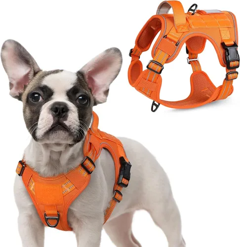 Vista 31 de rabbitgoo Arnés táctico para perros pequeños, chaleco de servicio militar sin tirones con asa y Molle, de fácil control para entrenar y caminar
