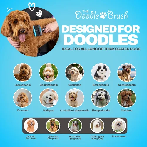 Vista 7 de Cepillo para garabatos para perros, pelo de perro, cepillo para caniches, Goldendoodle, Bernedoodle, Bernedoodle, flexible para perros, caniche