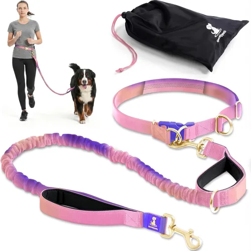 Vista 12 de SparklyPets Correa doble elástica para perro con 2 correas para perros con soporte trasero - Correa doble para perros para razas medianas y medianas