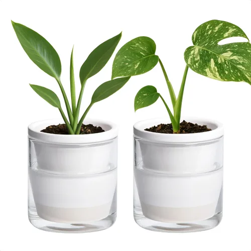 Vista 13 de D'vine Dev Maceta de Diseño de Riego Automático de 4 Pulgadas para Plantas de Interior, Maceta de Terracota Azul con Vaso Cilíndrico de Vidrio