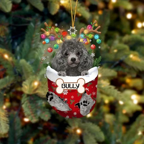 Vista 177 de IZI POD Affenpinscher Adorno de Navidad personalizado para perro, adorno de bolsillo de nieve para perro para árbol de Navidad, adorno acrílico
