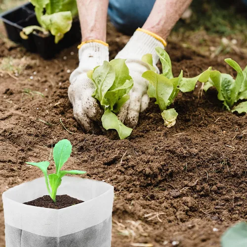 Vista 3 de 200 bolsas de cultivo para vivero, bolsa de cultivo pequeña de 5.8 x 5 pulgadas para plantas, macetas de tela, papa, flor, tomate para principiantes