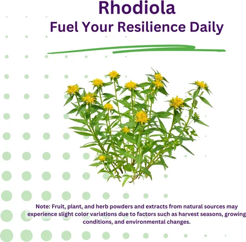 Vista 8 de Paradise Herbs Extracto de Rhodiola 500 mg, antioxidante súper potente, ultra puro, vegano, sin OMG, sin gluten, 60 cápsulas vegetarianas