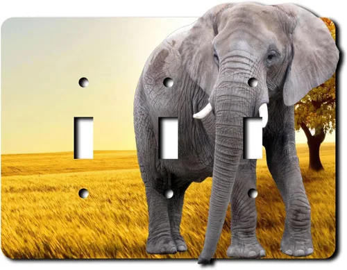 Vista 8 de Cubierta eléctrica acrílica decorativa de elefante - Interruptor de luz doble