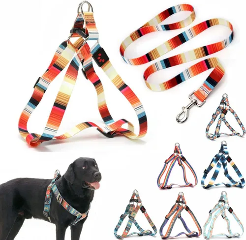 Vista 6 de Juego de arnés y correa para perro, bonito patrón sin tirones, chaleco halter para cachorros, para exteriores, fácil caminar para razas pequeñas