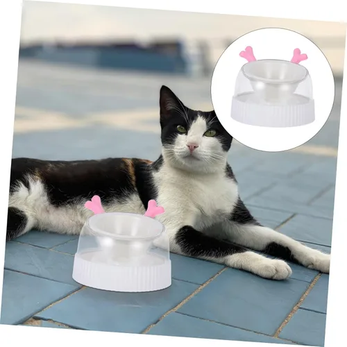 Vista 7 de PET Bowl for Small Dogs and Cats Raised Slow Feeder