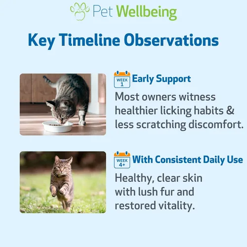Vista 8 de Pet Wellbeing Soporte para la picazón para gatos – Picazón ocasional, arañazos y puntos calientes, alergias ambientales y estacionales, Dong Quai