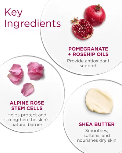 Vista 5 de Andalou Naturals 1000 Roses Loción corporal calmante - Mejora la humedad de la piel con manteca de karité y aloe vera - Loción hidratante