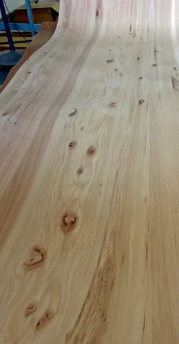 Vista 7 de Chapa de madera anudada rústica de nuez de nuez de nogal de 24 "x 48" en respaldo de papel 1/40
