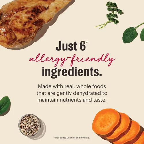 Vista 4 de Alimento para Perro con Escasos Ingredientes Deshidratados Moderados de Honest Kitchen