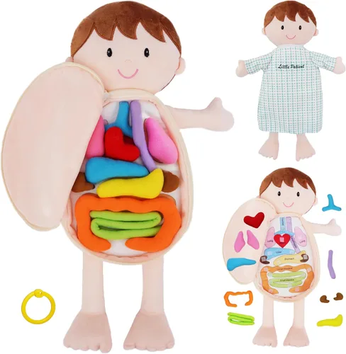Vista 11 de June Garden Dressy Friends Belle de 15.5 pulgadas, muñeca de peluche educativa para niños y niños pequeños de 2 años en adelante, juguete suave