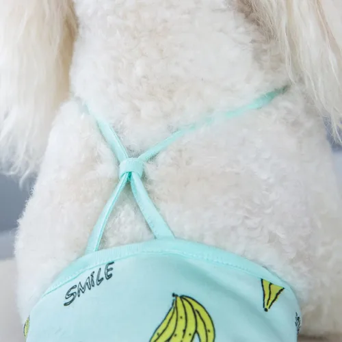 Vista 4 de 2 piezas de pañales para perro con tirante, lavables, sanitarios, reutilizables, pantalones sanitarios para cachorros, ropa interior para mascotas