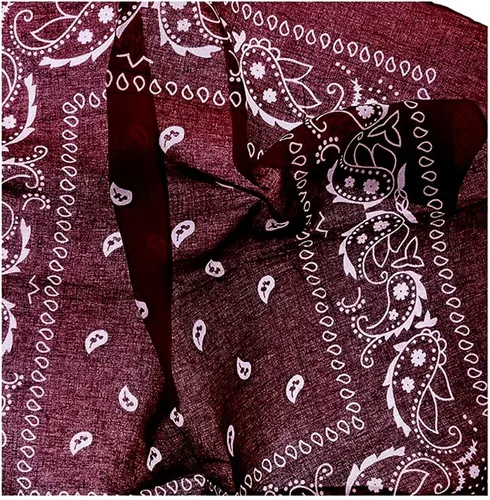 Vista 3 de OCD Bargain Bandana, 100% Cotton Versatile Large Paisley Bandanas in Pack of 5 (Multi Color)