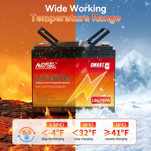 Vista 6 de Batería de litio LiFePO4 de 12 V 100 Ah con Bluetooth, BMS integrado, protección a baja temperatura, más de 5000 ciclos, celdas de batería