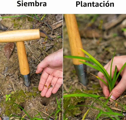 Vista 7 de FLORA GUARD - Herramienta de jardín para semillas, de acero con mango de madera