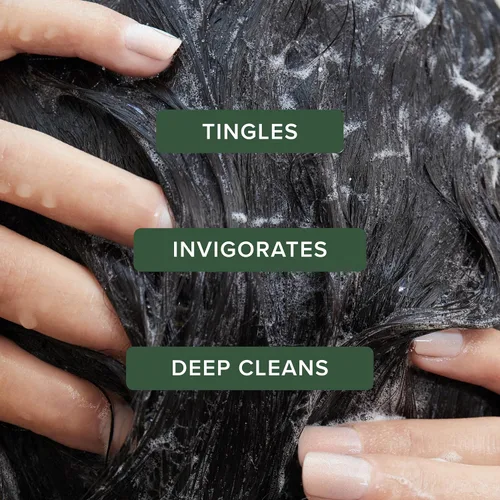 Vista 2 de Champú especial de Tea Tree, Limpieza profunda, Refresca el cuero cabelludo, Para todo tipo de cabello, especialmente cabello graso