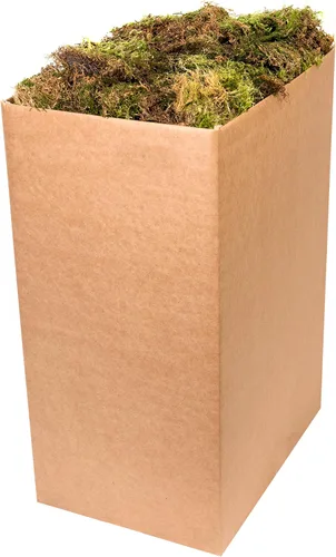 Vista 13 de SuperMoss (25320) Musgo de bosque preservado, fresco y verde, 2 oz
