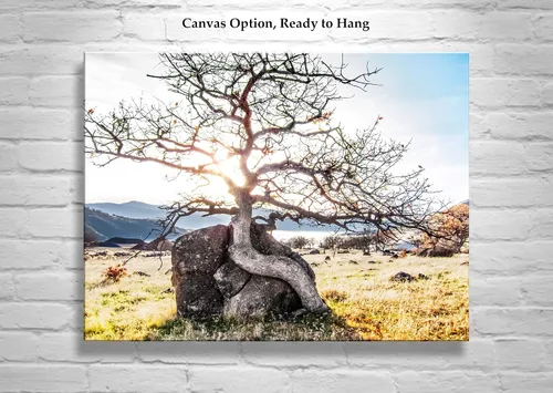 Vista 2 de Ashland Oregon Rogue Valley Nature Photography Wall Art Print