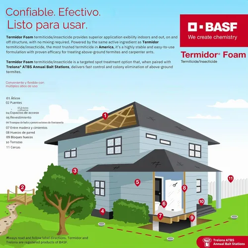 Vista 4 de BASF Termidor Foam - Insecticida termiticida de 20 onzas, para termitas, hormigas y madera, destruyendo plagas e insectos