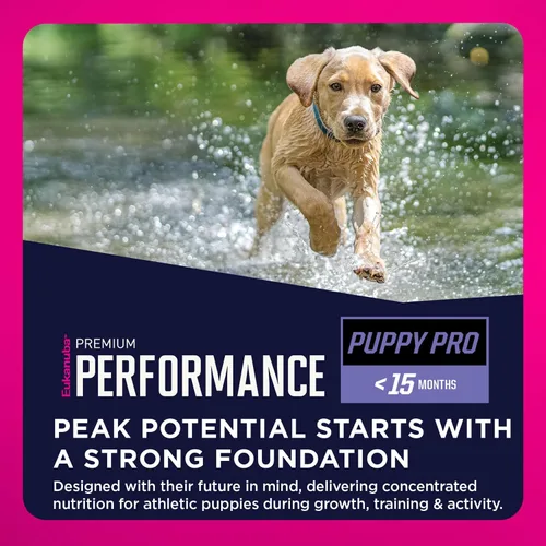 Vista 7 de Eukanuba Premium Performance Puppy PRO - Alimento seco para perros, bolsa de 4 libras