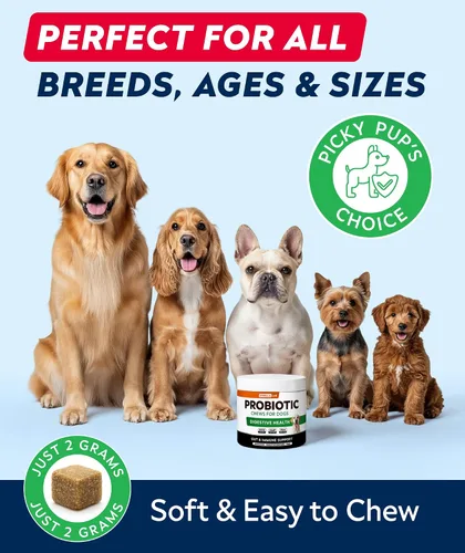 Vista 4 de Probióticos para perros para la salud digestiva y enzimas – Diarrea, gases, alivio del malestar estomacal y alergias de temporada – Probióticos