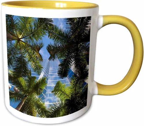 Vista 11 de 3dRose Estados Unidos, Florida, Miami, Brickell Avenue, edificios de gran altura. Taza negra de dos tonos de 11 oz
