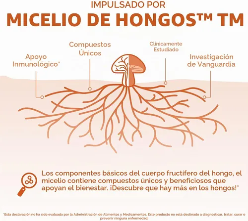 Vista 4 de Host Defense® Cordyceps Cápsulas, 30, 1