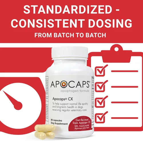 Vista 7 de apocaps CX apoptogen Fórmula para perros (90 Cápsulas), paquete de de 1