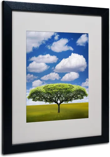 Vista 6 de Marca Fine Art improbable Espacio Abierto por Philippe Sainte-Laudy Canvas Wall Art