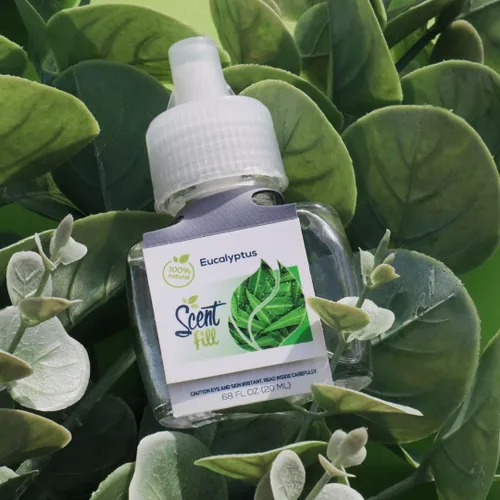 Vista 7 de Scent Fill Ambientador 100% natural de eucalipto enchufable, recambios de aceite perfumado, 2 recambios + difusor