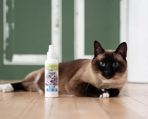 Vista 4 de Cuidado bucal completo de los fundadores de PetzLife - 4 oz (gel de salmón felino)