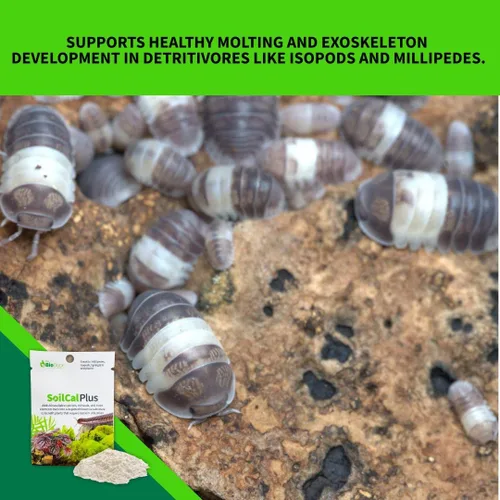 Vista 4 de The Bio Dude Soil Cal Plus - Aditivo de calcio de sustrato bioactivo. Ideal para isópodos, milpiés y plantas