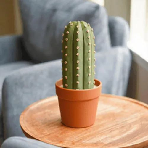 Vista 5 de Cactichess - Juego de ajedrez de cactus enrollable avanzado, tablero de ajedrez con temática de cactus, juego de ajedrez portátil impreso en 3D