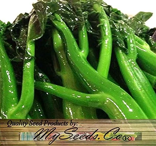 Vista 6 de Paquete grande - Semillas sin transgénicos de MySeeds.Co