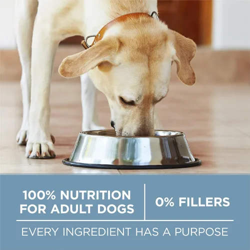 Vista 8 de Purina ONE Plus Fórmula para la salud de las articulaciones, alimento seco natural para perros con vitaminas, minerales y nutrientes añadidos