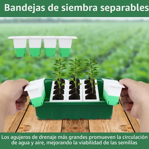 Vista 3 de Sondiko Bandeja de inicio de semillas con celdas de silicona suave, 80 celdas de bandejas de plántulas, kit de inicio de semillas, paquete de 4