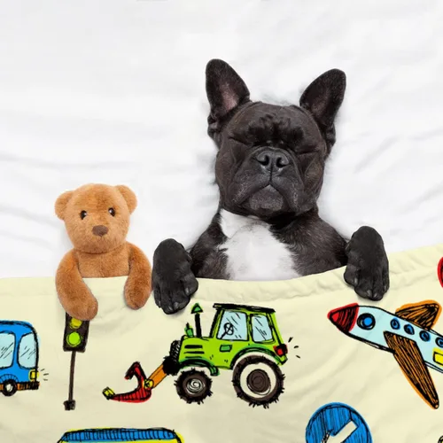 Vista 4 de Sumedha Manta de auto de dibujos animados, regalo de dibujos animados para niñas y niños, extra pequeña de 40 x 30 pulgadas para mascotas, franela