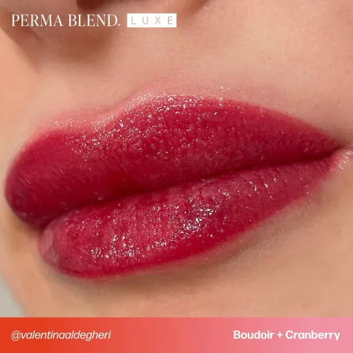Vista 8 de Perma Blend Luxe Berry Lip Set – Juego de tinta de tatuaje rojo profundo – Kit de microblading de rubor labial – Suministros de tatuaje para PMU