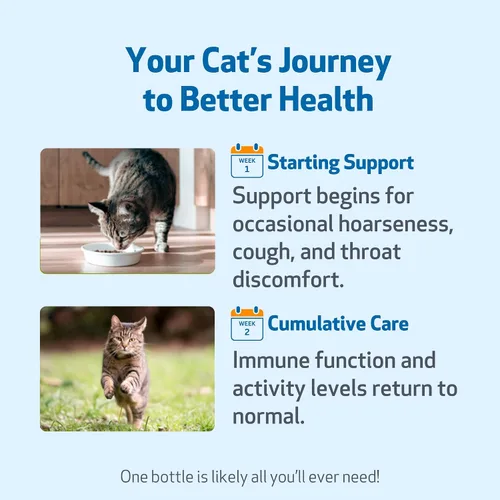 Vista 9 de Pet Wellbeing Garganta dorada para gatos – Apoyo respiratorio para gatos, tos ocasional y ronquera con gordolobo y olmo resbaladizo – Certificado