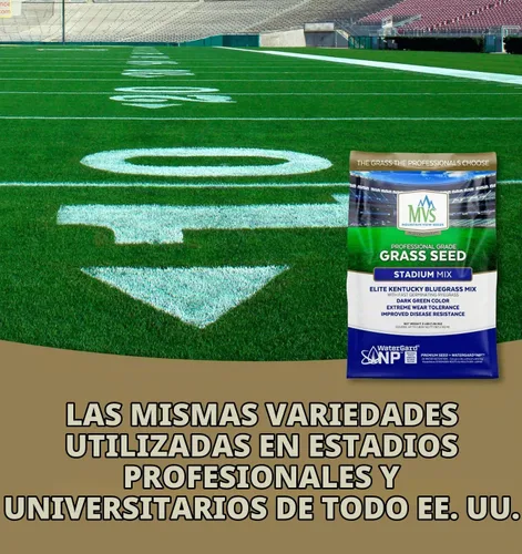 Vista 4 de The Andersons Stadium Mix Kentucky - Semilla de pasto azul - 3 libras.