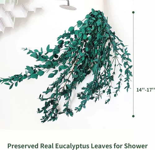 Vista 4 de Hojas de Eucalipto Secas Tallos de Vegetación Preservada, 8-14 PIEZAS Ramas de Guirnalda de Eucalipto, 4 OZ Paquete de Plantas de Hojas Verdes