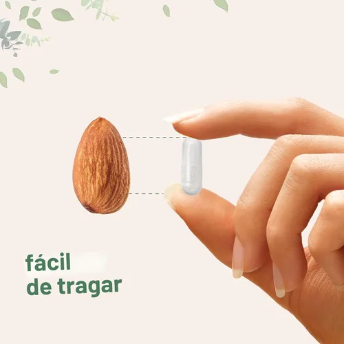 Vista 5 de Micro Ingredients NAC con NAD+, 240 cápsulas vegetarianas 1,200 mg por porción N-acetil-L-cisteína 2 en 1 con nicotinamida adenina dinucleótido