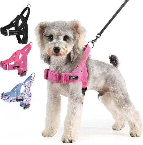 Vista 10 de KOOLTAIL Arnés sin tirones para perro pequeño, con acolchado suave y asa, arnés de chaleco para cachorro fácil de caminar, cuello y pecho