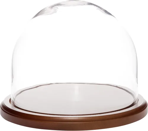 Vista 3 de Plymor Cúpula de cristal de 8 x 6.5 pulgadas (base de madera MDF negra)