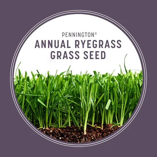 Vista 4 de Pennington Semilla anual de pasto de Ryegrass 10 lb