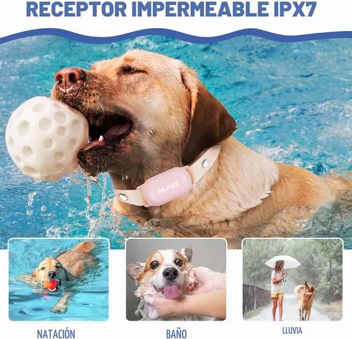 Vista 3 de Collar de choque para perro, collar de entrenamiento impermeable para perros con control remoto de 1000 pies, collar de descarga eléctrica