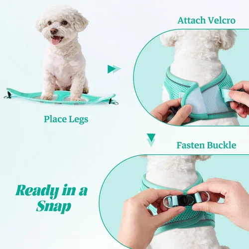 Vista 4 de YIMEIS Juego de arnés y correa para perro, arnés de malla suave sin tirones, chaleco reflectante ajustable para cachorros para perros pequeños, Azul
