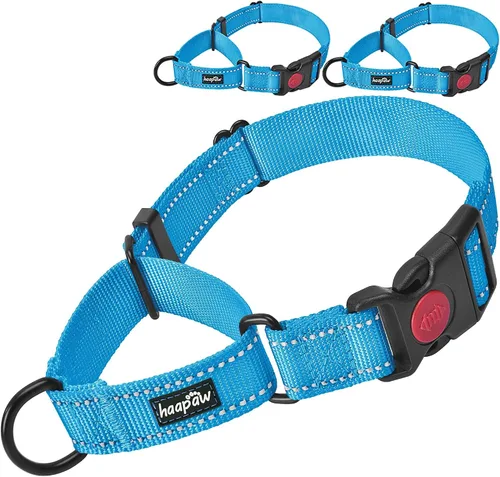 Vista 9 de haapaw Paquete de 2 collares de perro Martingale con hebilla de liberación rápida reflectantes para perros pequeños, medianos y grandes