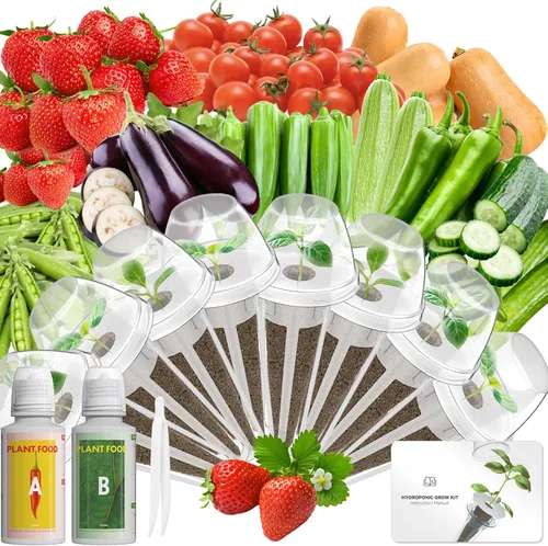 Vista 9 de Hydroponics - Vaina de semillas con albahaca genovesa y albahaca morada, kit completo de 8 cápsulas con esponja, canasta, cúpula, etiqueta